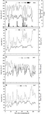 Interactive Regimes of Reduced Irrigation and Salt Stress Depressed Tomato Water Use Efficiency at Leaf and Plant Scales by Affecting Leaf Physiology and Stem Sap Flow